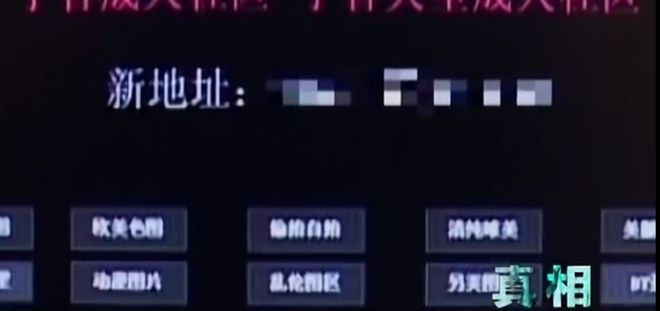 凤归梧桐（国语版）