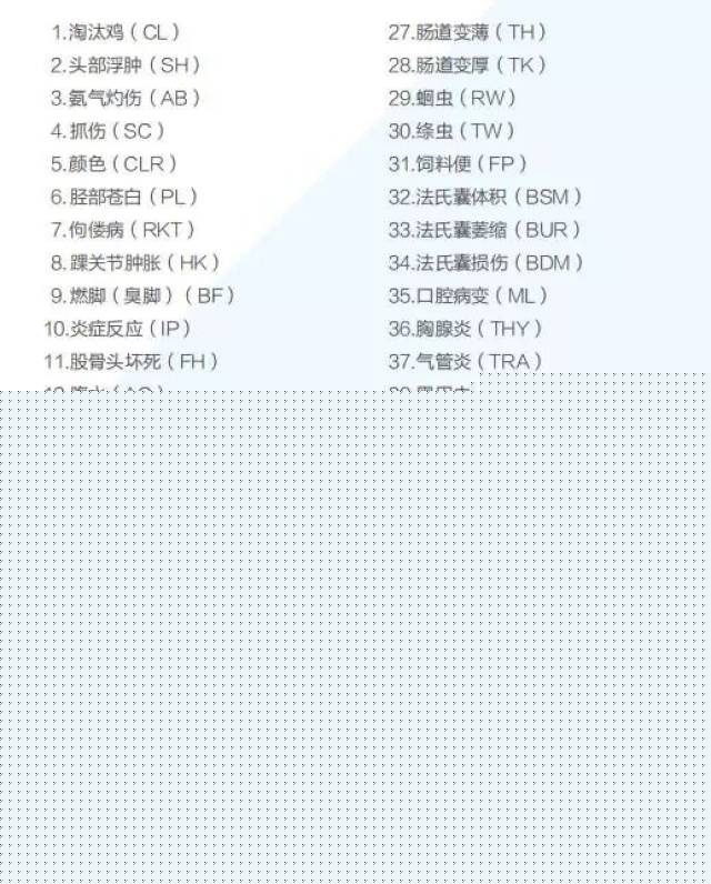 克鲁特：希姆帕汗勇士