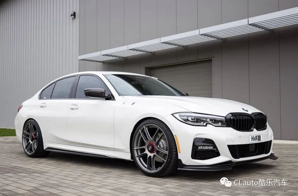 史酷比！毛茸茸的对决