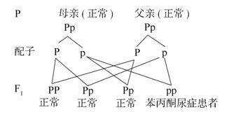 名侦探柯南：独眼的残像台配版