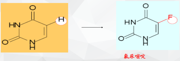 全息游戏：恋爱世界
