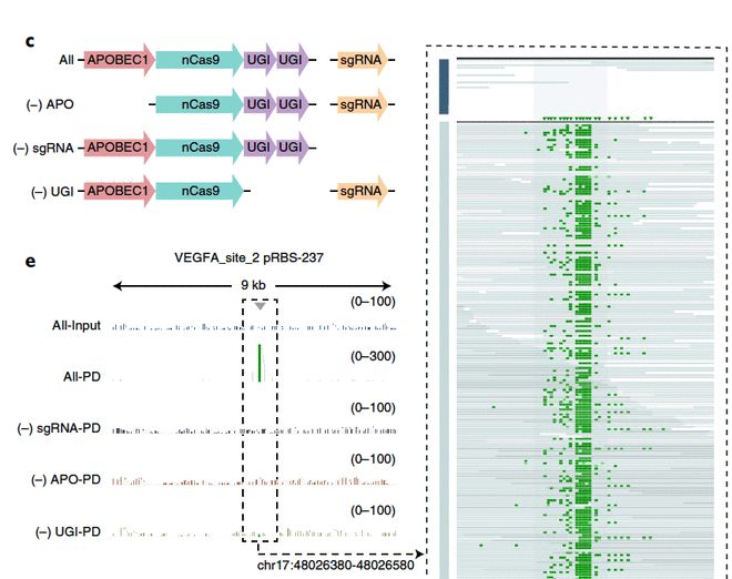 全息游戏：恋爱世界