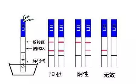 全息游戏：恋爱世界