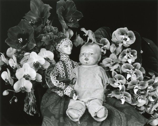 八百彪兵奔北坡