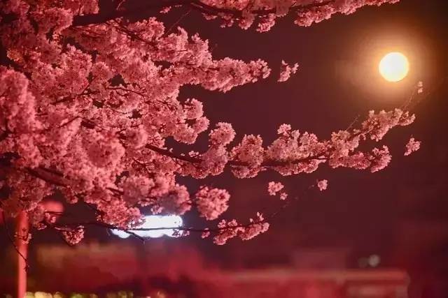 反贪风暴3(普通话版)