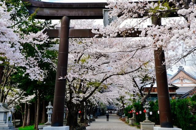 名侦探柯南：银翼的魔术师