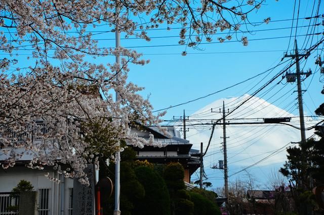 名侦探柯南：银翼的魔术师