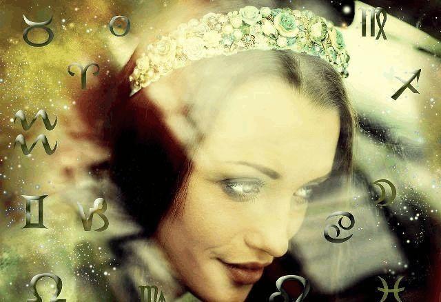 养蜂人 （英语版）