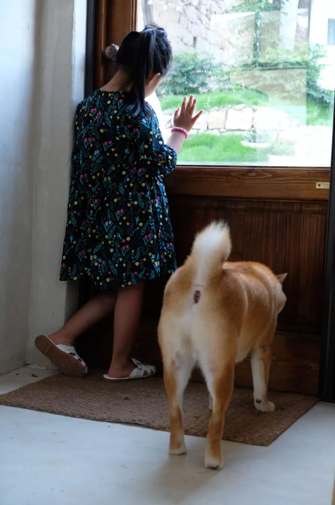 八月：奥色治郡