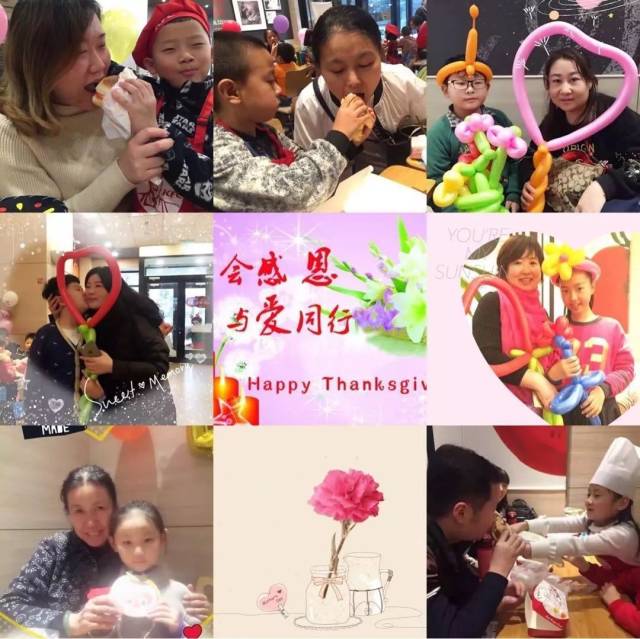 光荣之路上的狗