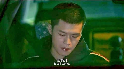 光荣之路上的狗