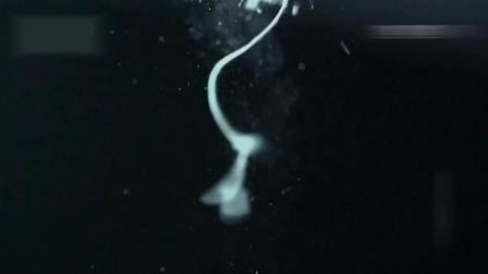 命运之夜——天之杯Ⅰ：恶兆之花 劇場版