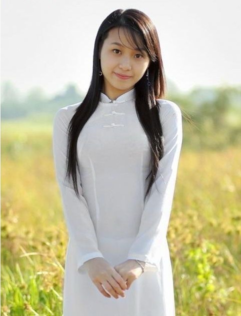 养蜂人 （英语版）