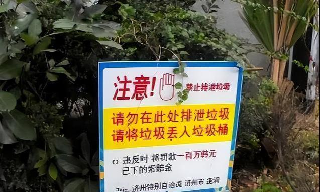 哥斯拉：决战之都