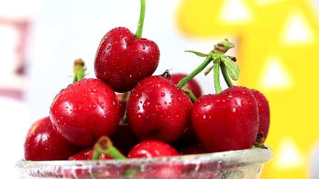 塞尔柯克漂流记