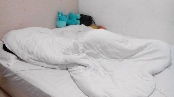 哆啦A梦:大雄的月球探险记