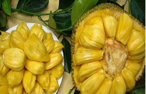 冷血追击（国语版）