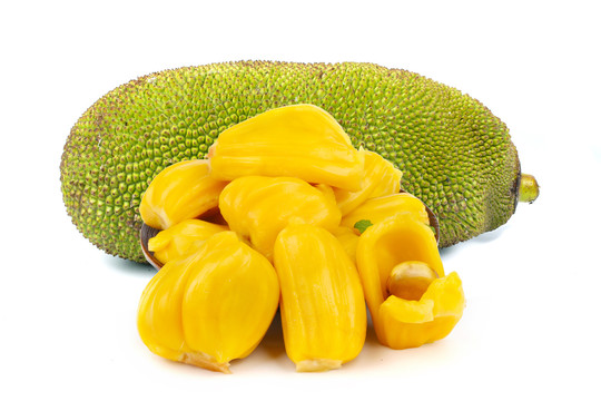 另一个波琳家的女孩