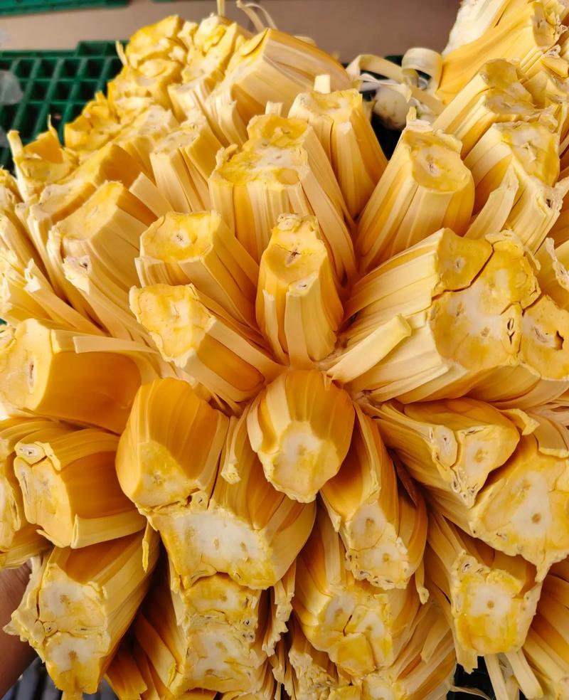 名侦探柯南：银翼的魔术师