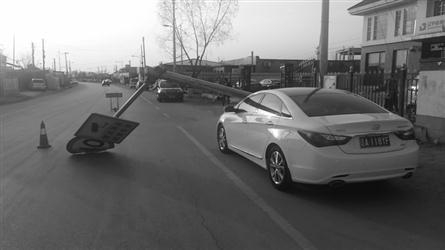 哥斯拉：决战之都